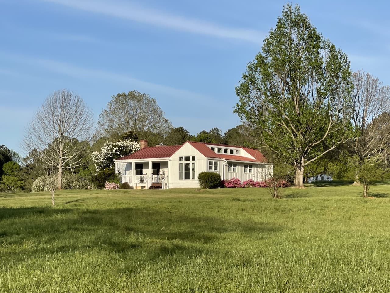 A wide shot of a white cottage with a red roof, situated on a gentle grassy hill surrounded by tall trees under a clear blue sky.