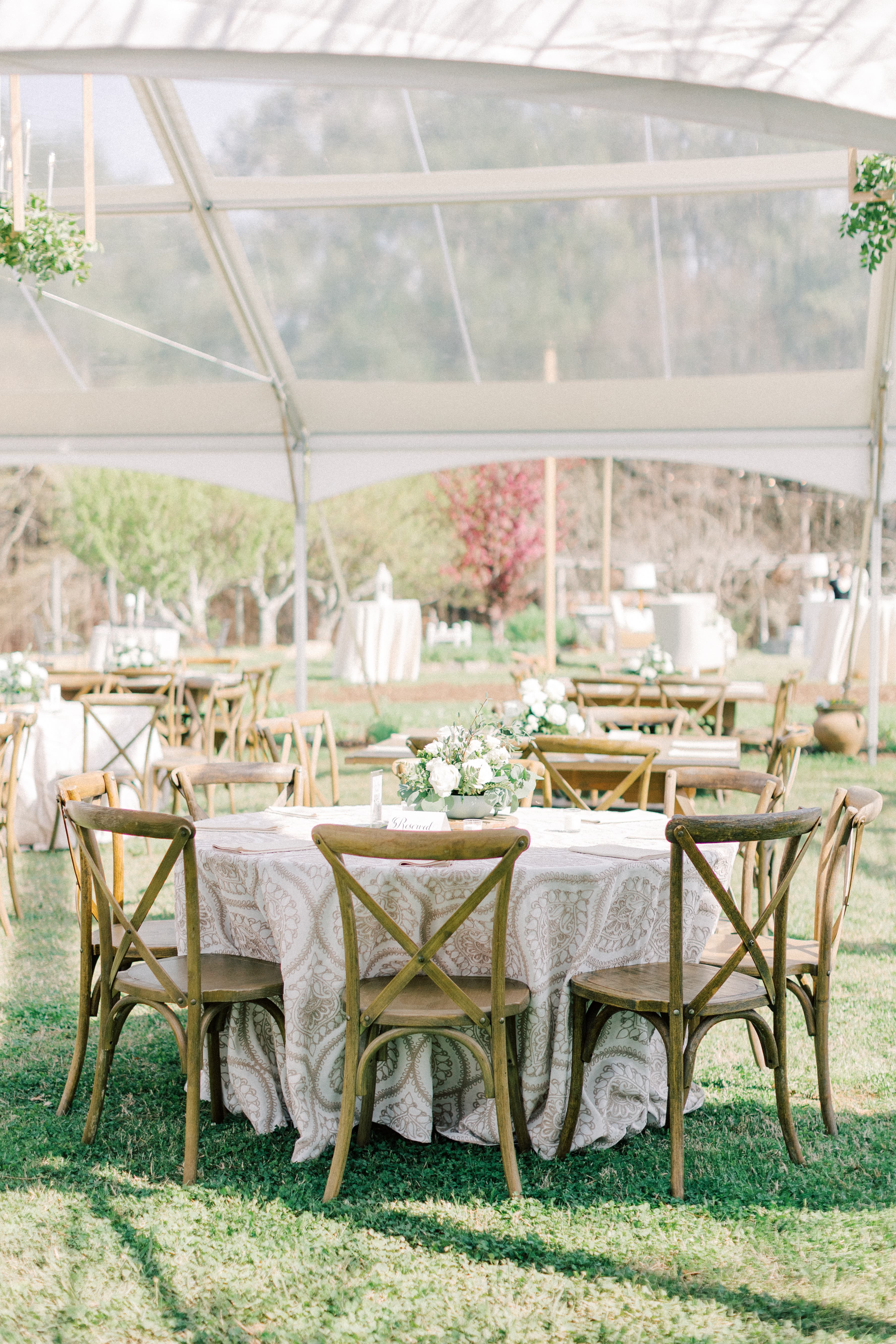 A beautifully set outdoor dining table under a tent, surrounded by grassy fields and additional seating.