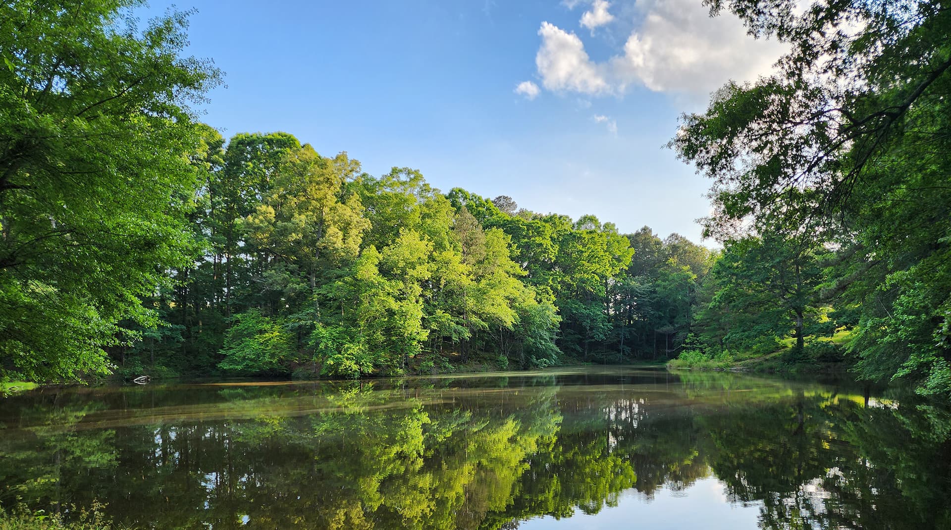 Tranquil lake surrounded by lush green trees and a clear blue sky.