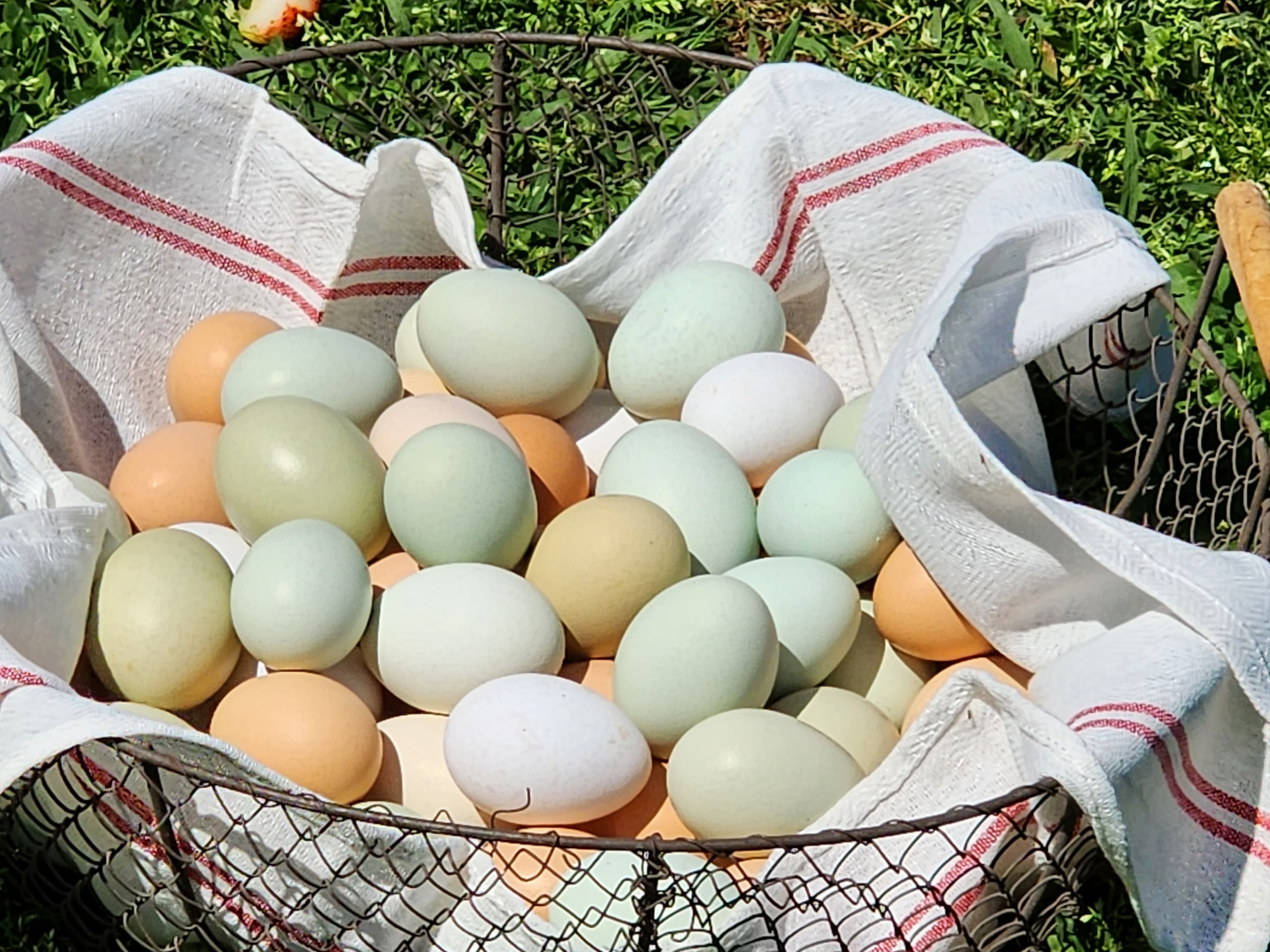 A basket filled with various colored eggs resting on a cloth.